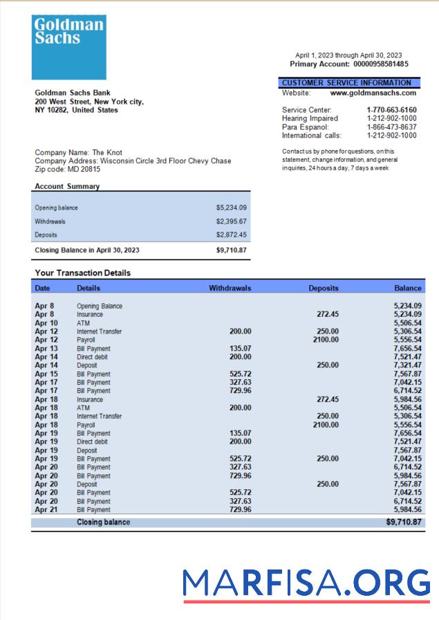 Printable Goldman Sachs bank organization account statement Word and PDF template